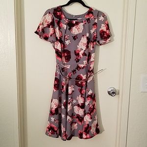 New York & Co. Dress Eva Mendes size 4
